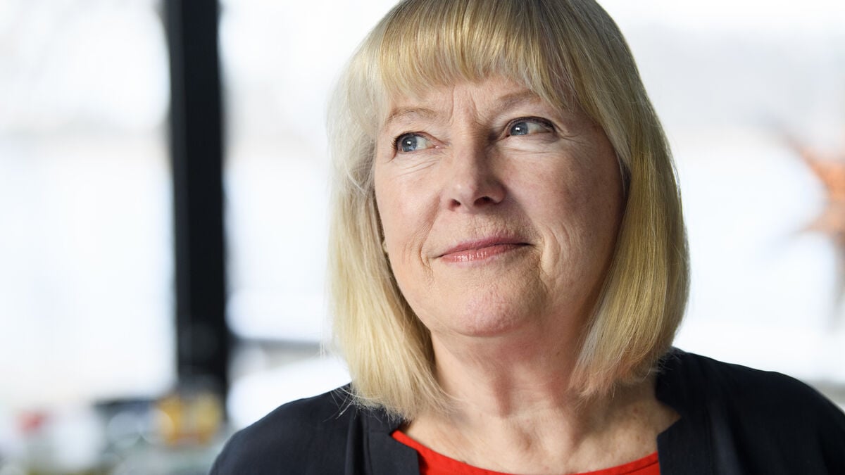 Survey calls for SFI overhaul to speed migrant integration