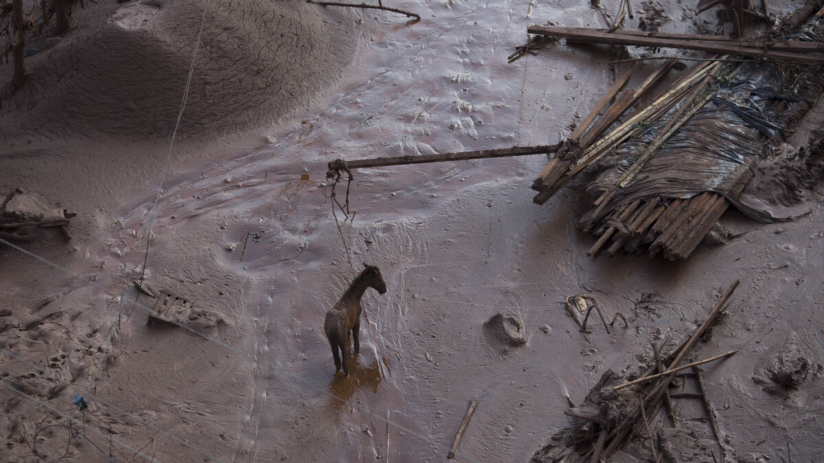 Court: Mining company guilty of