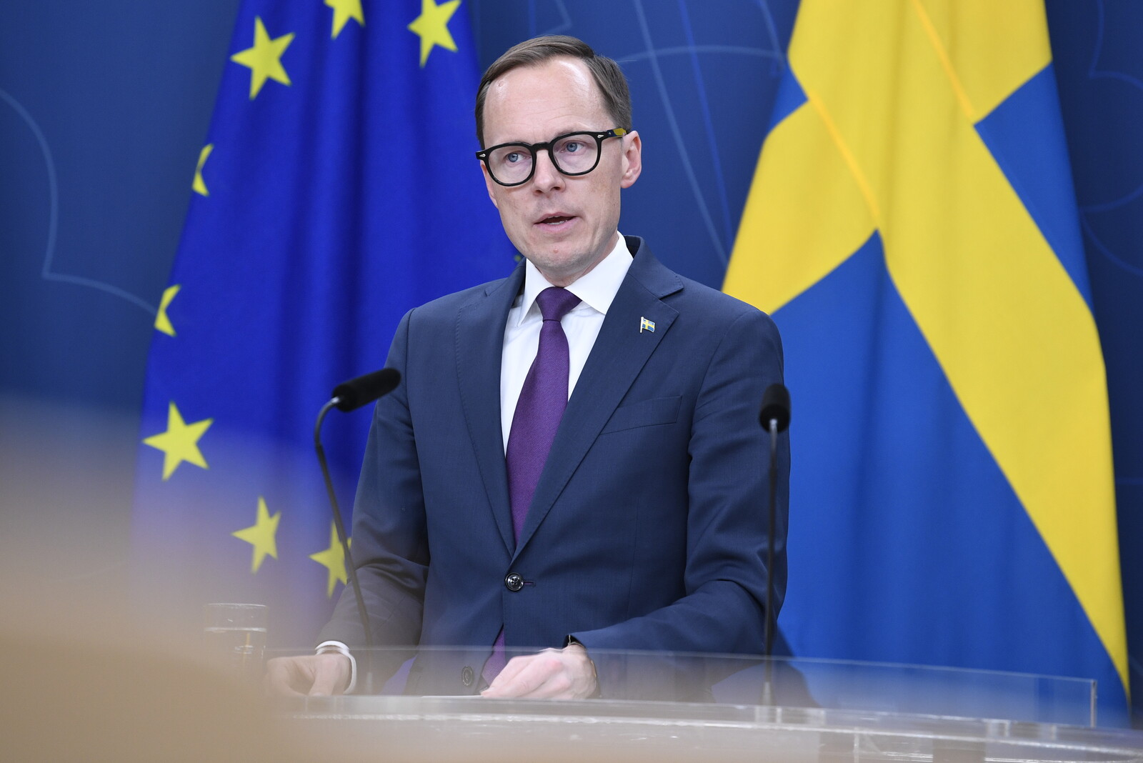 Persson (The Liberals): "Privatization went too far" | Sweden Herald