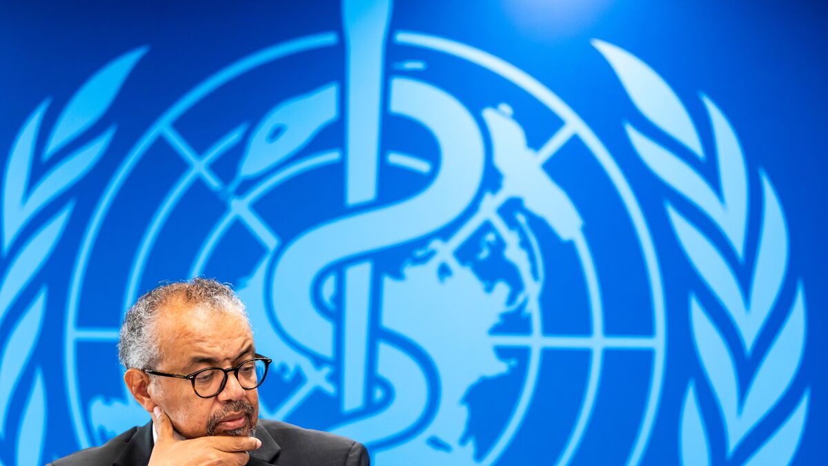 WHO: Over 900 suspected Ebola cases in Democratic Republic of the Congo