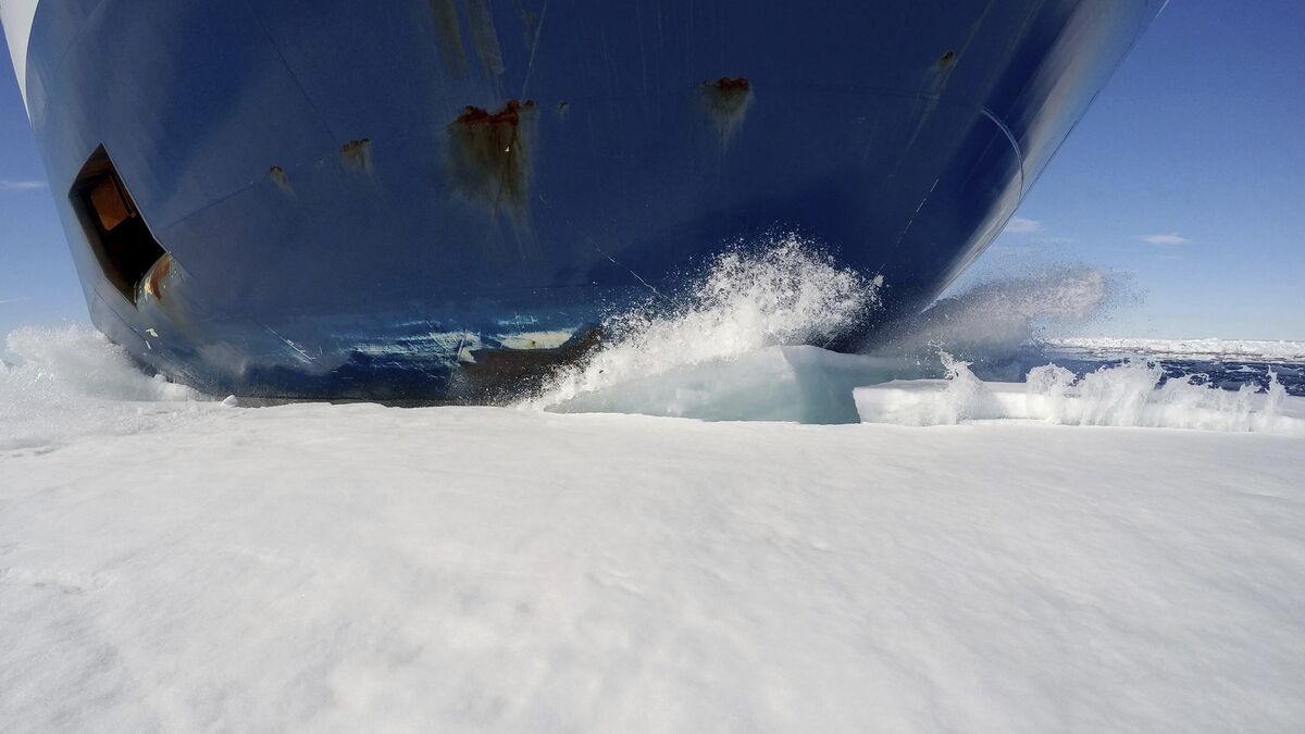 Chinese shipping company launches regular