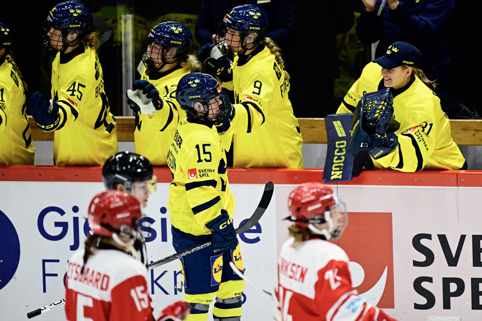 Veteran steps forward – Women's Hockey Team qualifies for the Olympic Games
