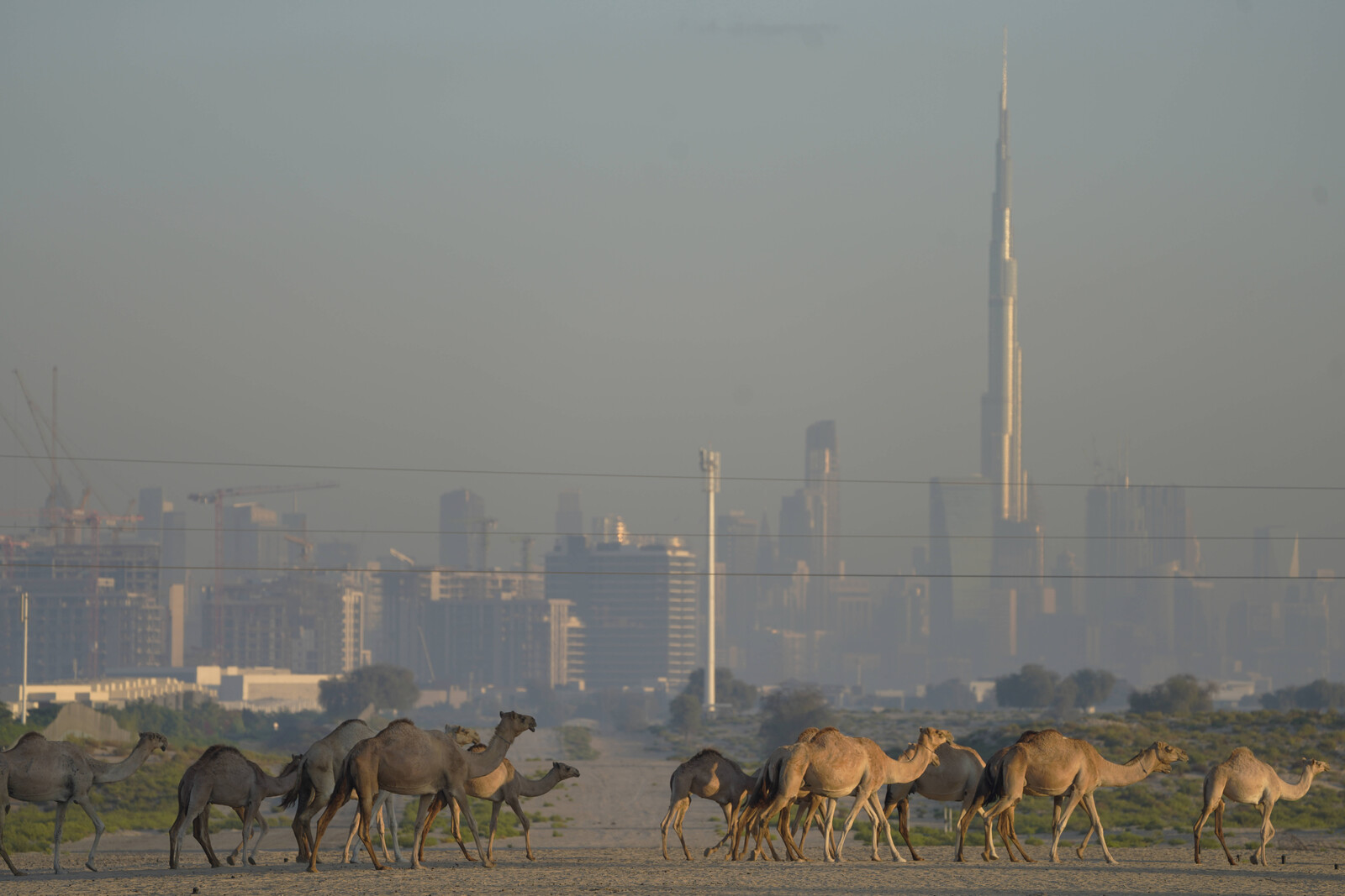 Heat Wave in UAE Reaches