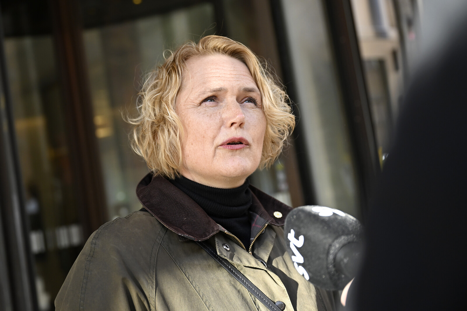 Anna-Karin Hatt Declines Centre Party Leadership Role