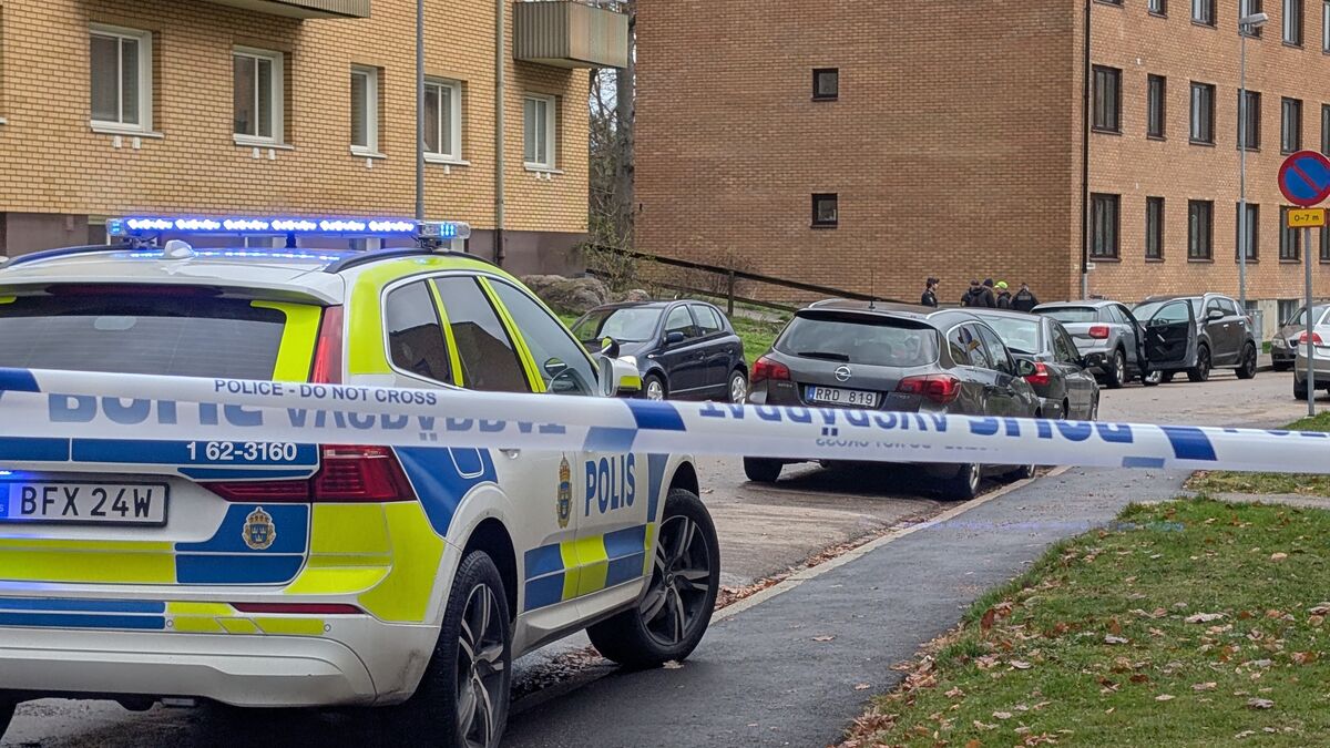 Woman stabbed to death in