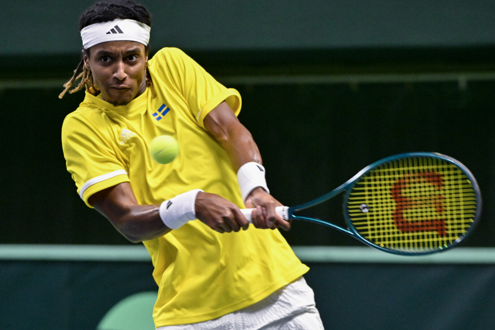 Ymer: "I would never have set foot in the royal court"