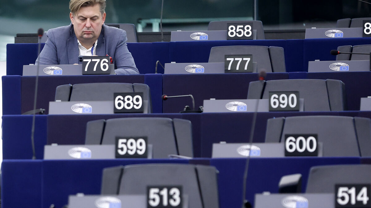 EU Parliament Assistant Sentenced for