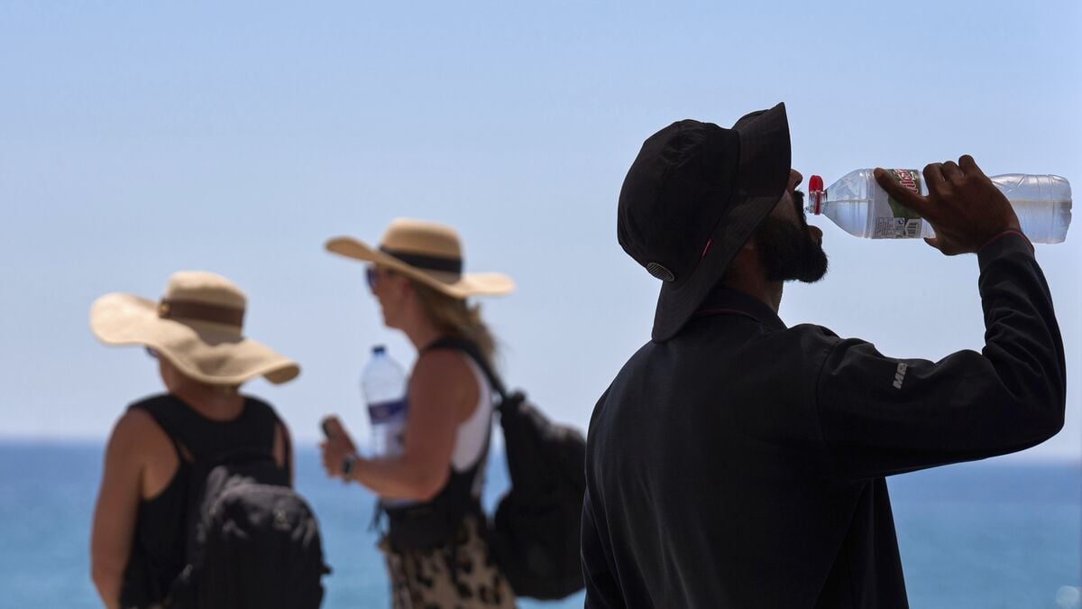 Temperatures above 30 degrees forecast for 340 million Europeans as heatwave continues