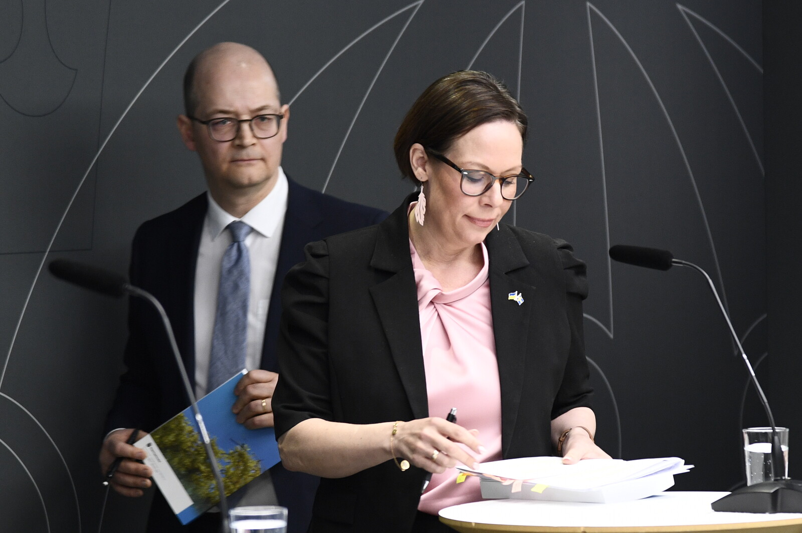 Sweden Delays Joining Global Ocean Protection Treaty