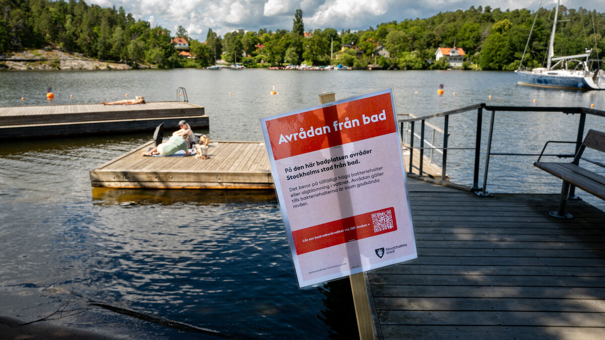 Algae bloom keeps bathers out of the water on Sweden’s coast