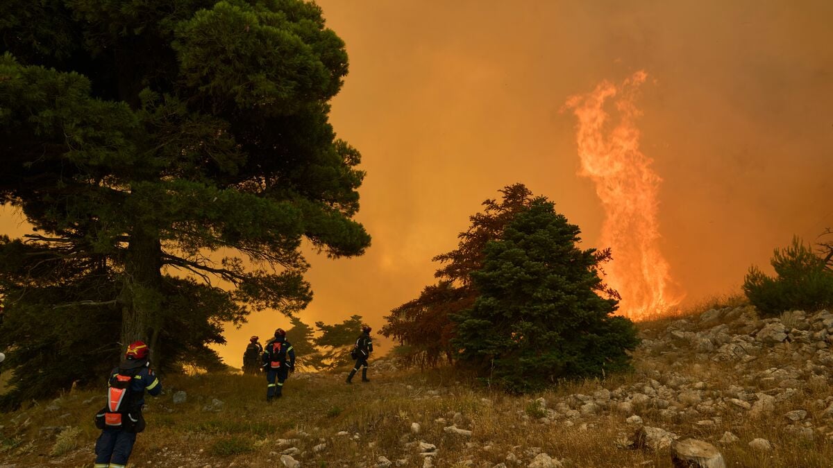 Greece arrests 281 people this year for fire-related crimes