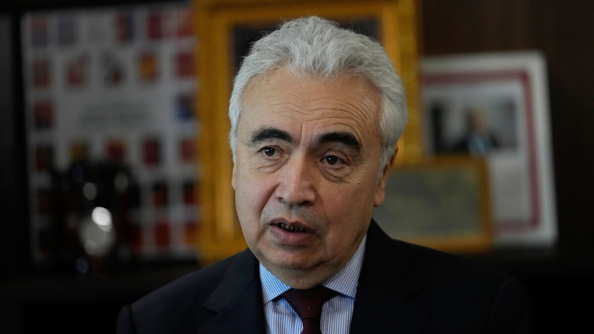 IEA chief says Europe’s slow electrification is a major mistake