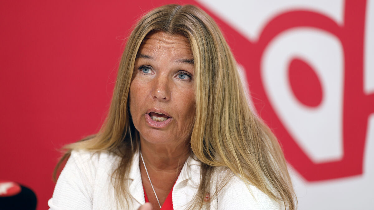Social Democrats want to keep rural road lights on as Swedish Transport Administration pause continues