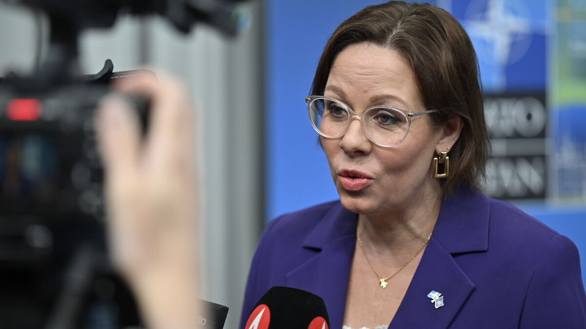 Alexander Stubb or Angela Merkel, who can talk to Putin?