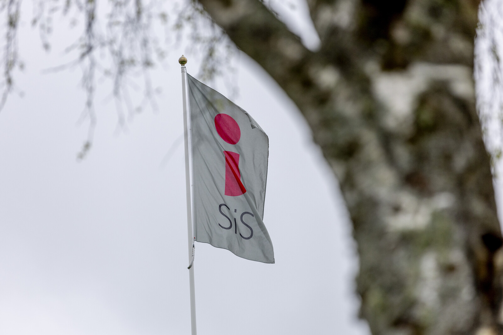 Staff Violence Against Children Rises in Criticized Sis Homes