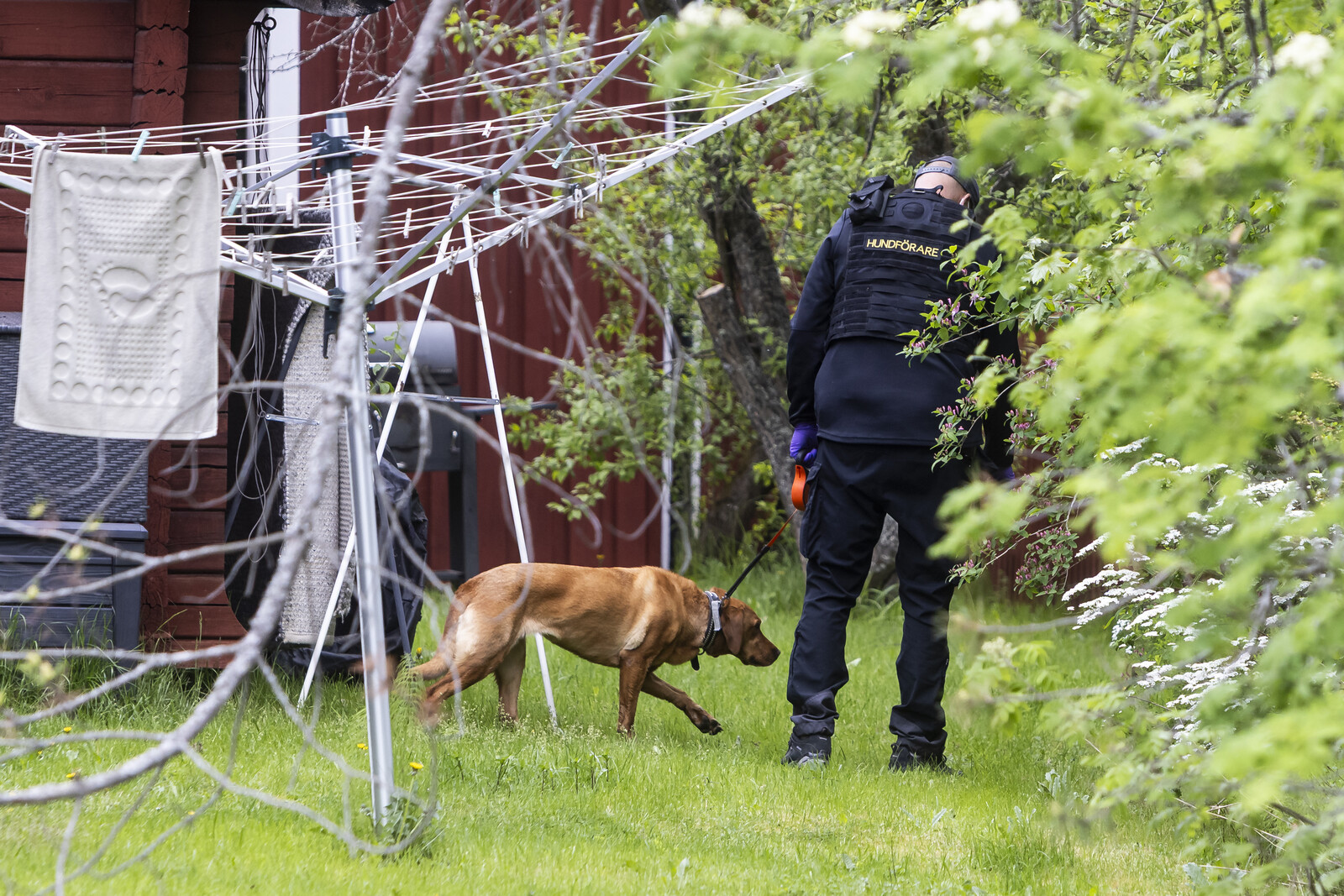 Suspected Murder in Borlänge Leads to One Detained