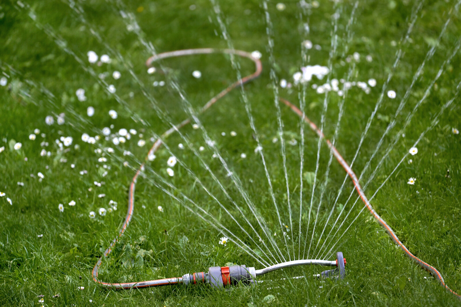 Dry Winter Leaves Southern Sweden with Critically Low Groundwater Levels