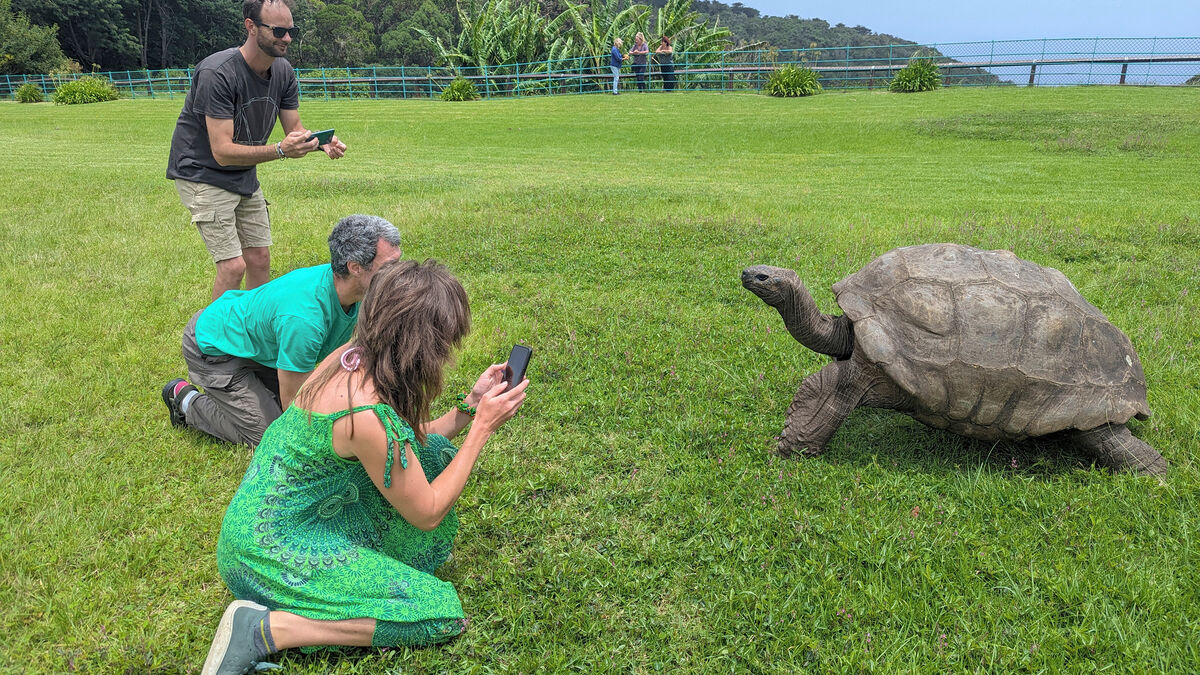 Death rumor denied: 193-year-old tortoise