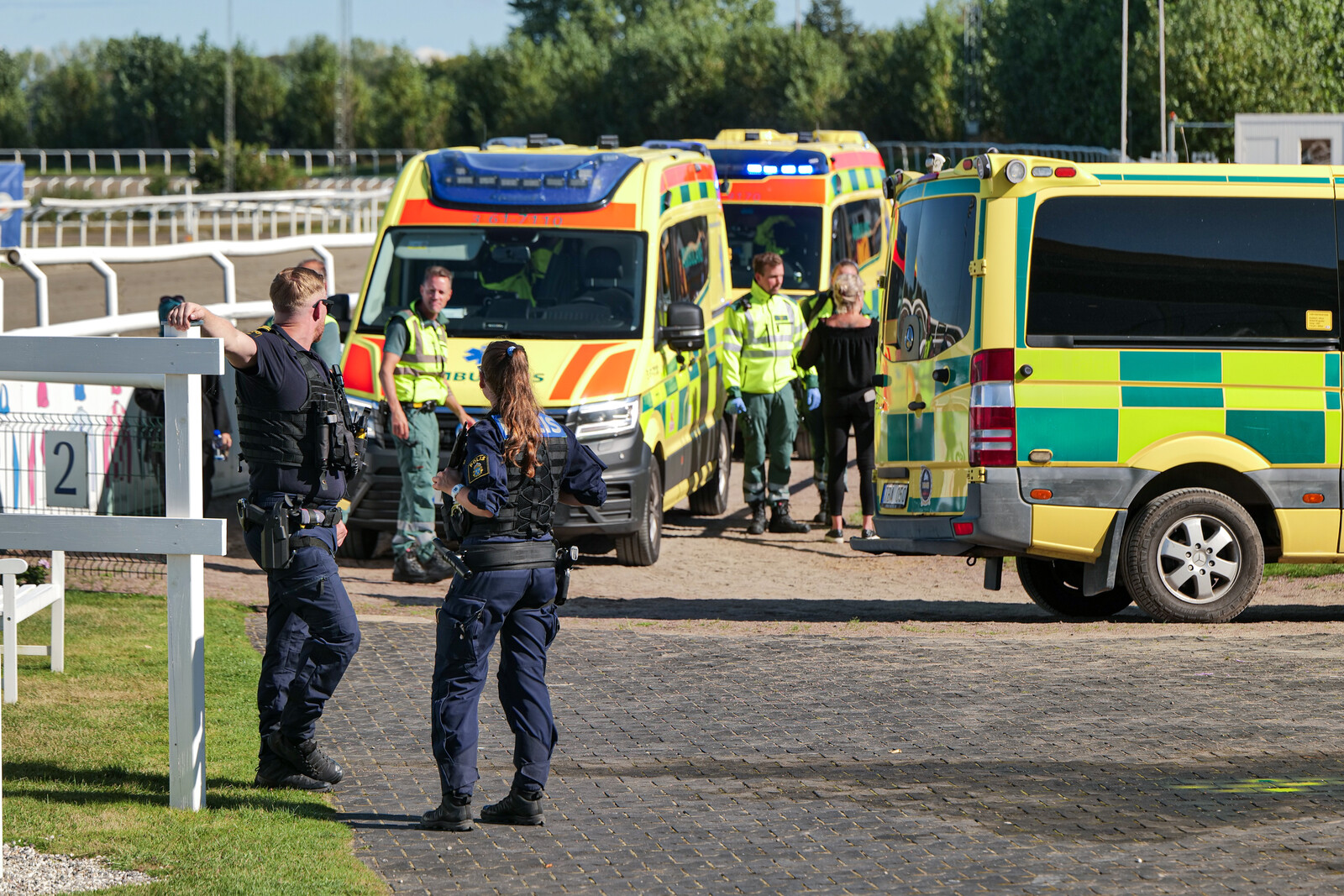Horse Runs Amok at Jägersro