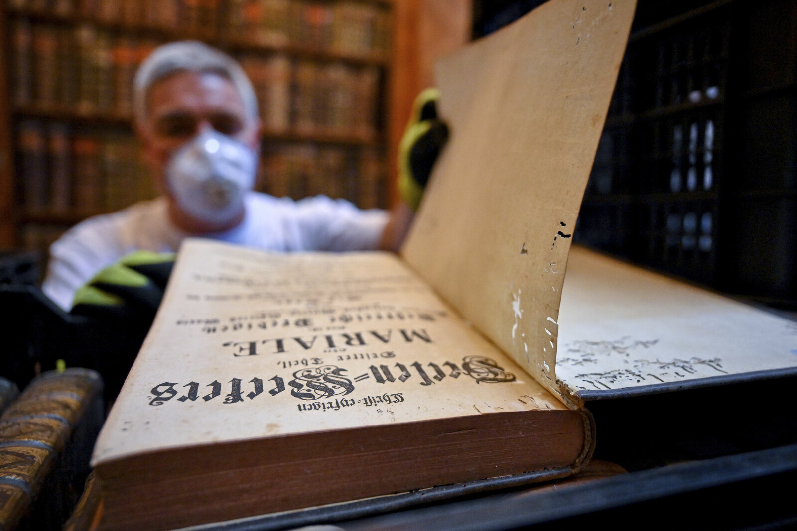 Book-Eating Beetles Threaten Hungary's World