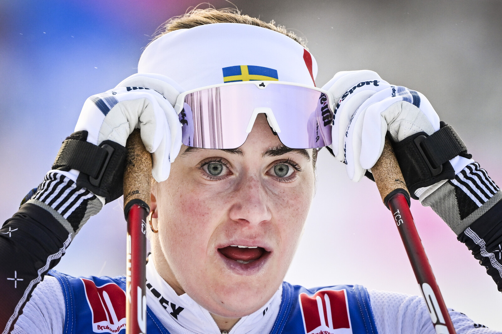 The Star Dominated - Won Big in Bruksvallarna