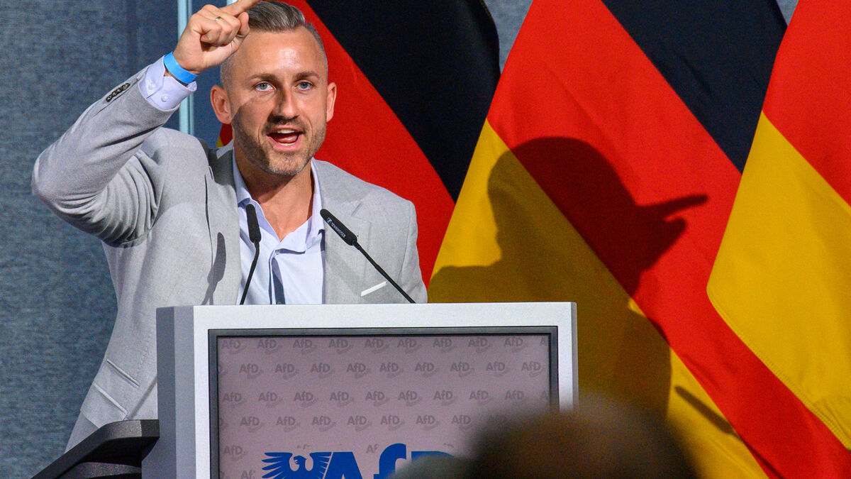AfD vows to deport undocumented
