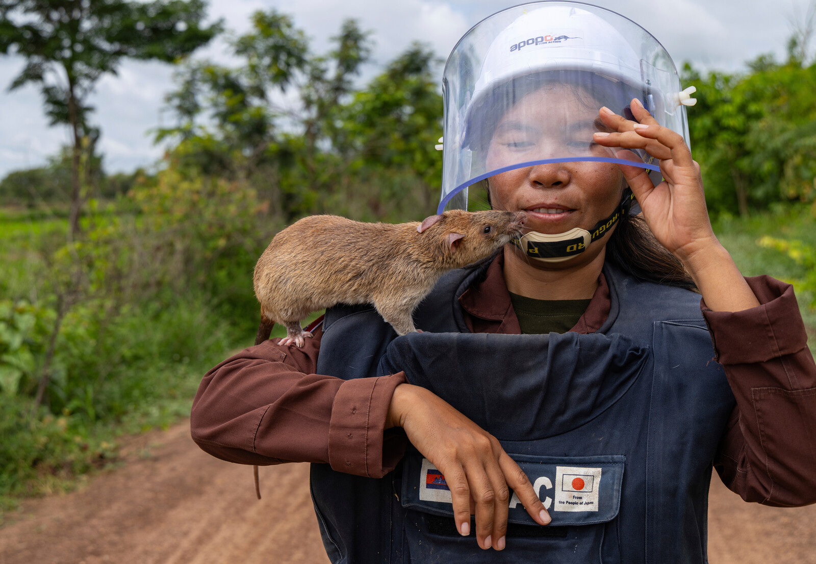 Giant Rats Help Clear Landmines