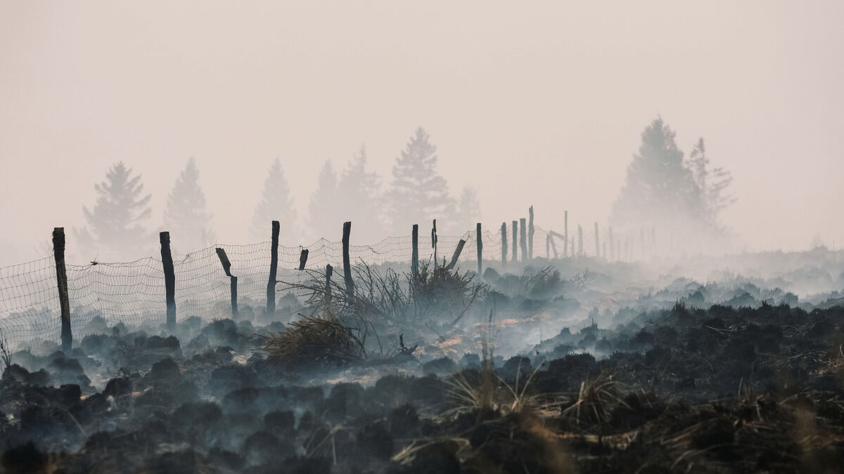 Belgian wildfire contained as flames approach German border