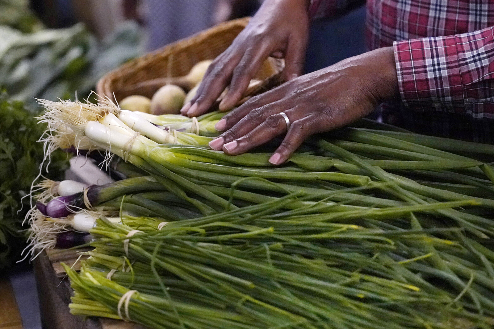 Global Food Prices Fall