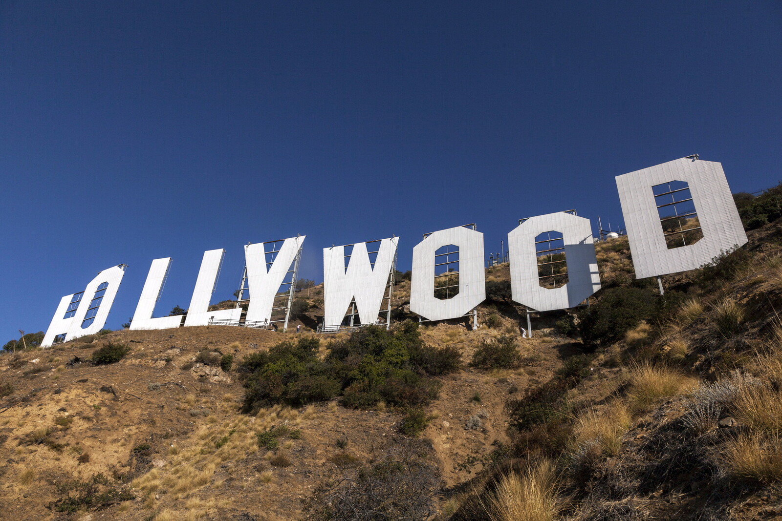 Hollywood Stars Condemn Gaza Situation in Open Letter