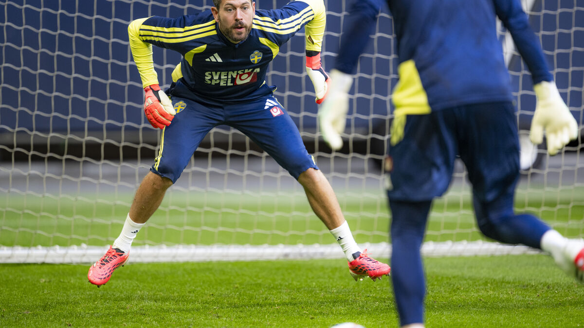 Potter's choice - Nordfeldt in Sweden's World Cup opener