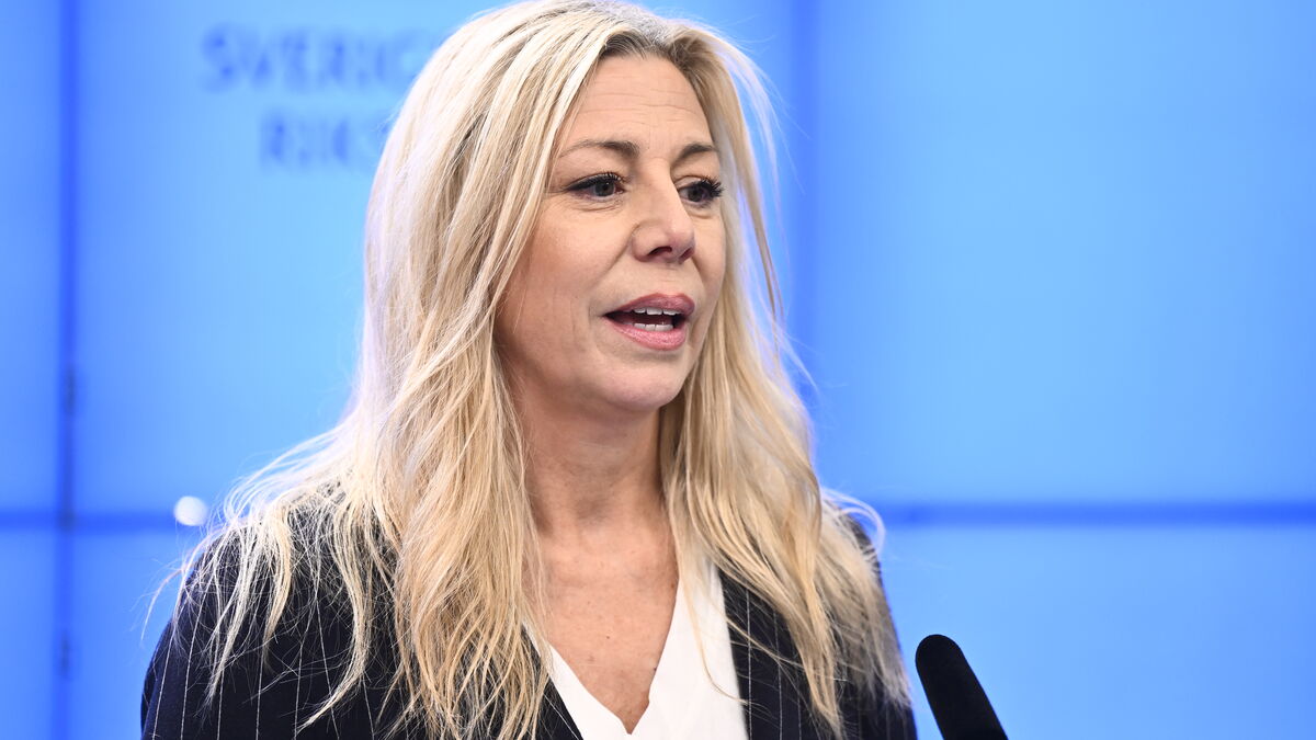 SD wants to include so-called political savages in new compensation system