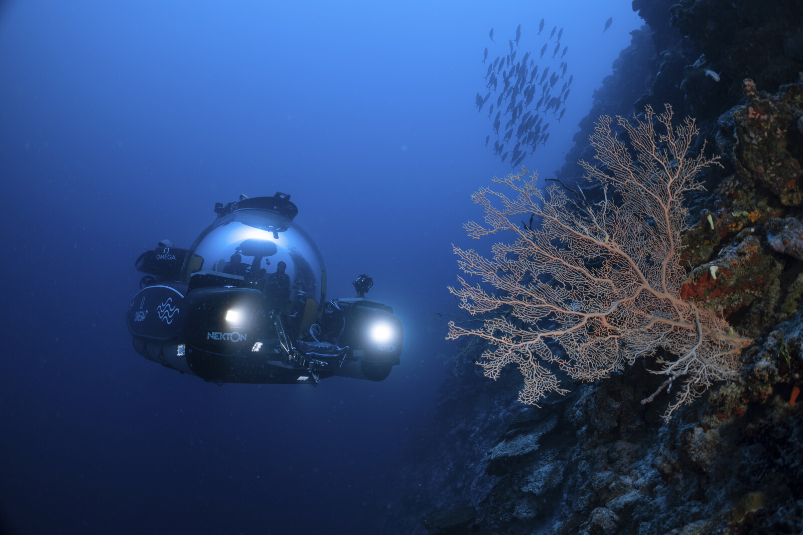 UN Ocean Treaty Ratified to Become Law Next Year