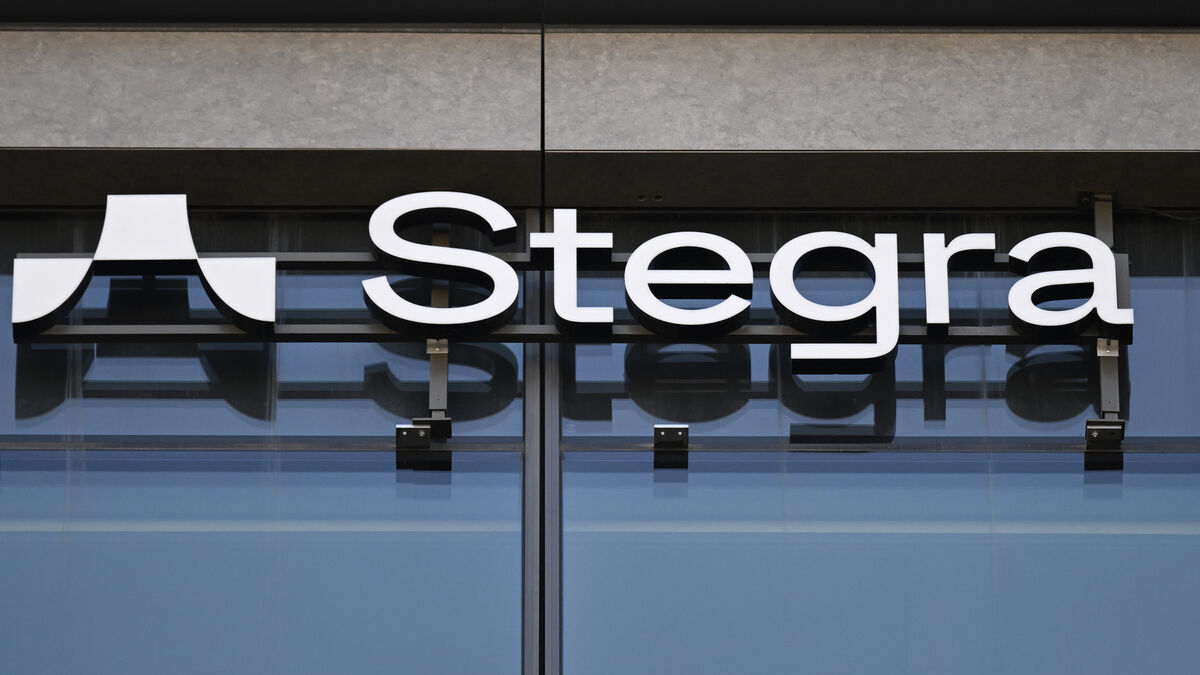 Expert predicts collapse of troubled steel group Stegra