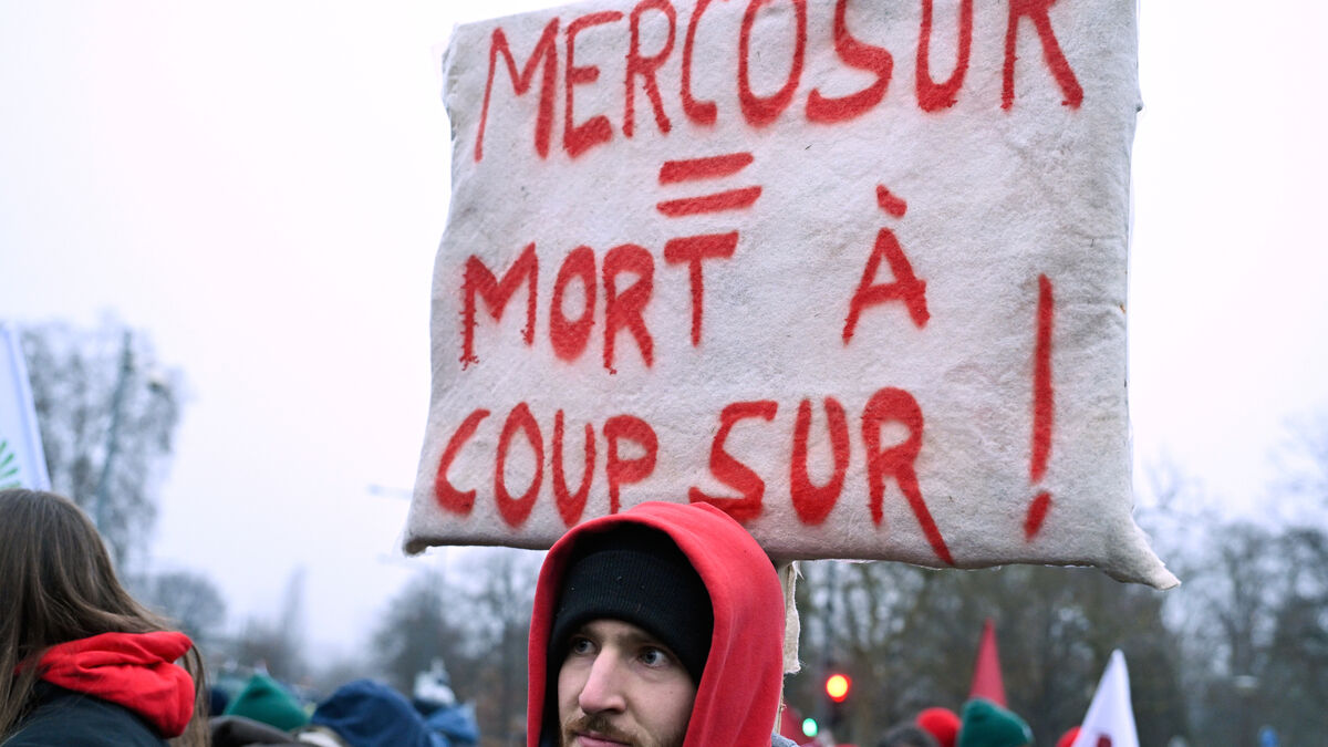 European Parliament group leaders could provisionally launch controversial Mercosur agreement