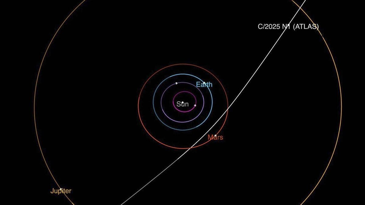 Comet from beyond the stars