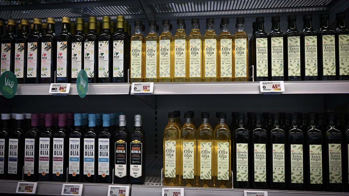 Despite extreme heat, no olive oil price surge expected