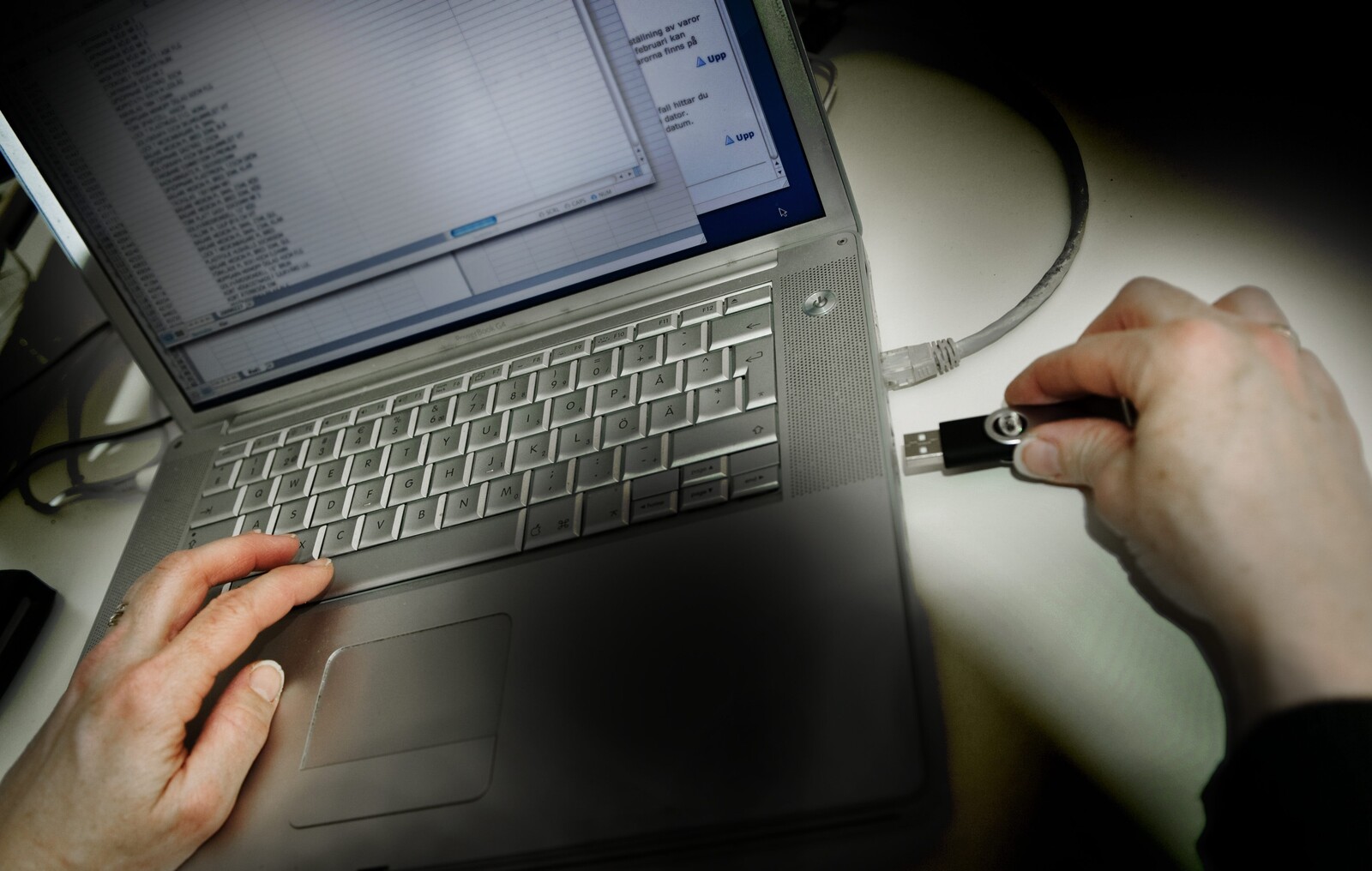 Malmö's Phishing Test Halted as