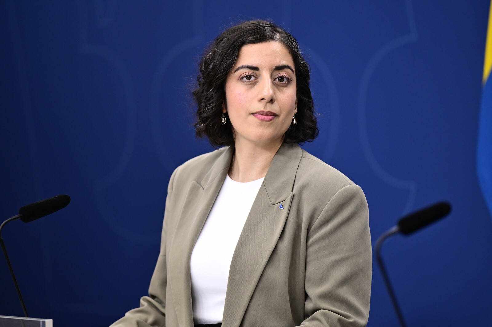 Sweden visual data 3