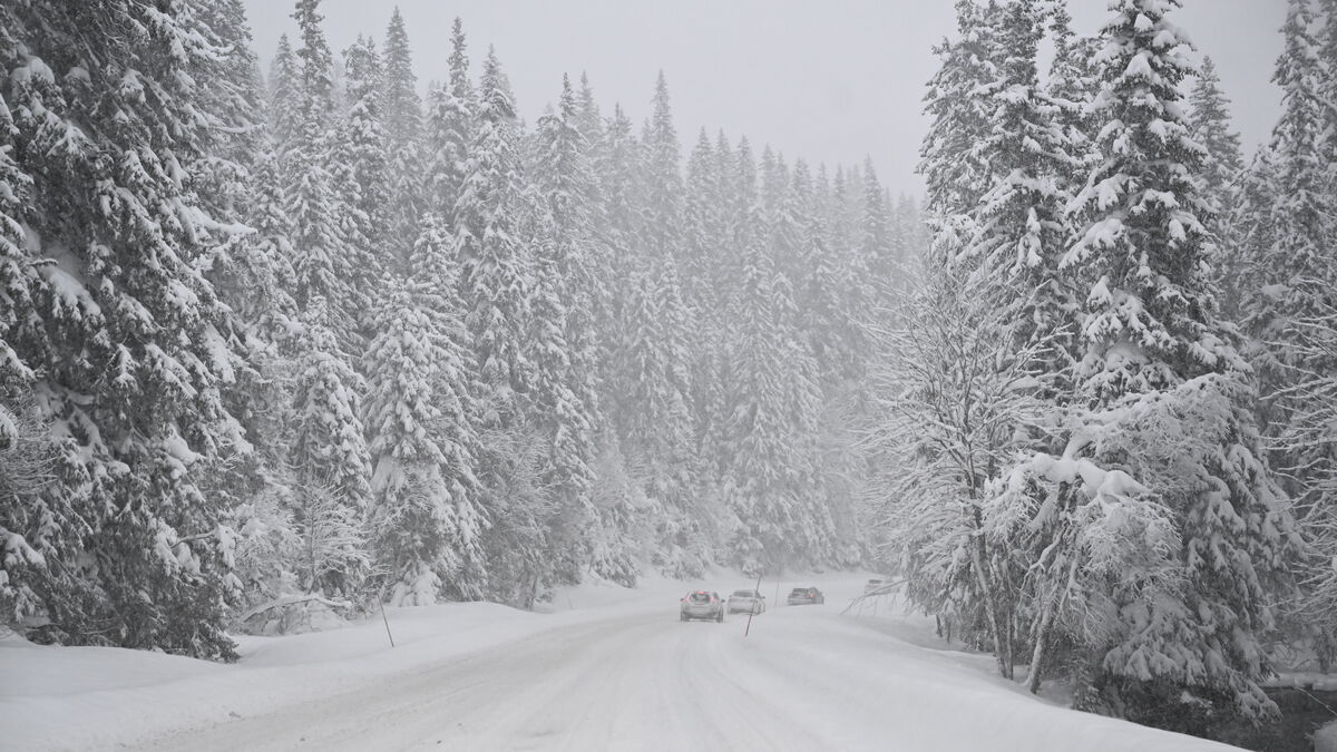 Colder weather replaces the slush