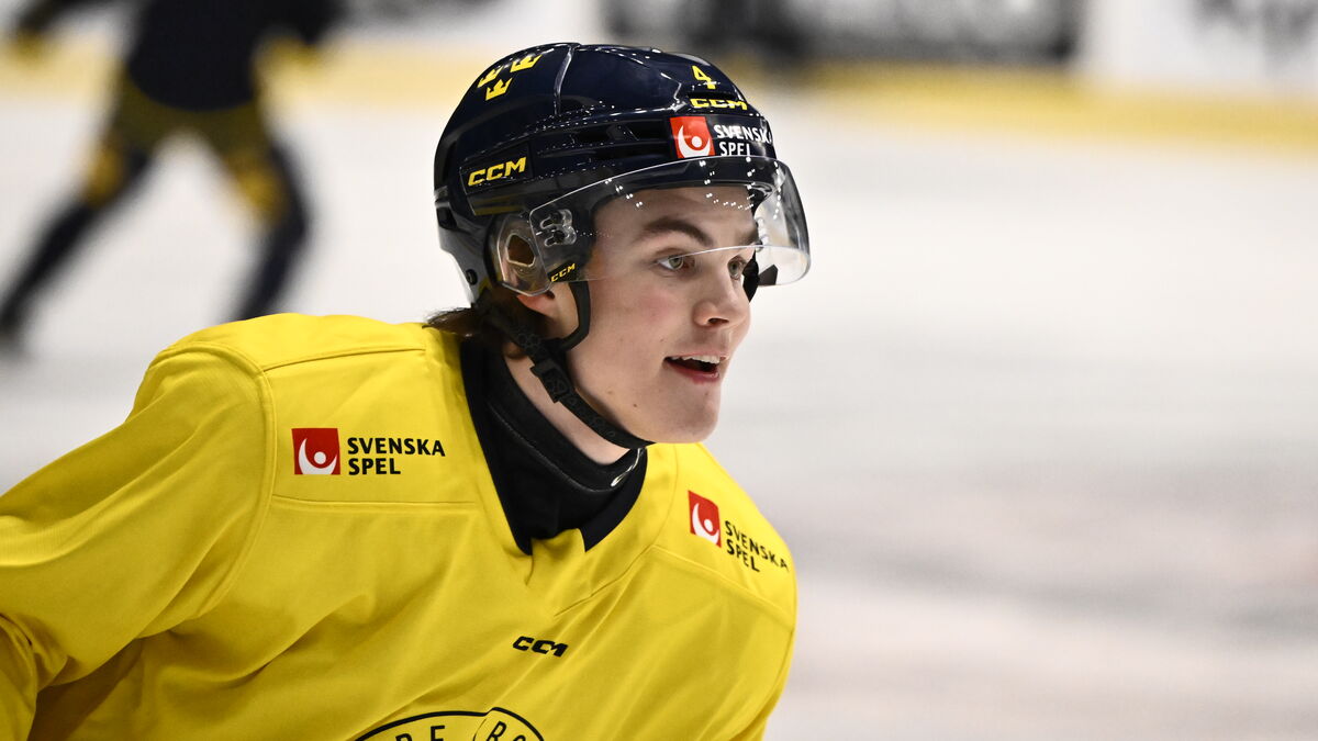 Swedish Talent Axel Sandin-Pellikka Faces Tough NHL Debut