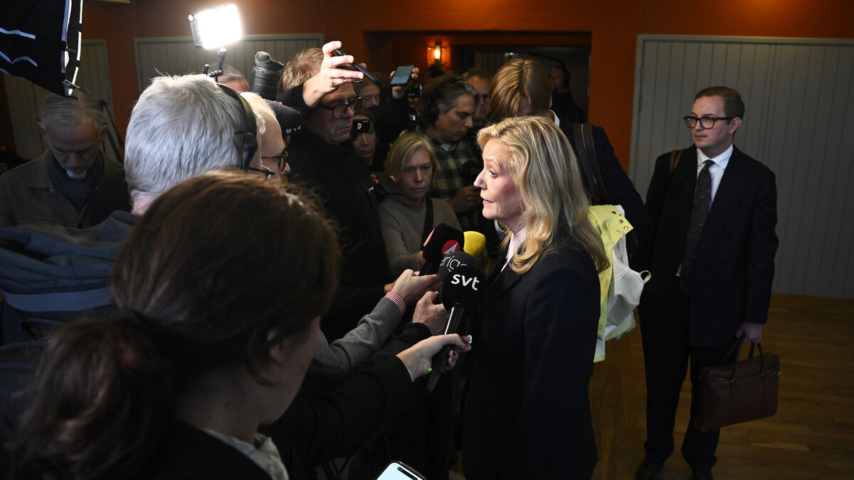 Centre Party leader says government