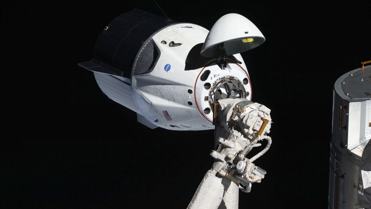 Why astronauts get constipated in space, study finds