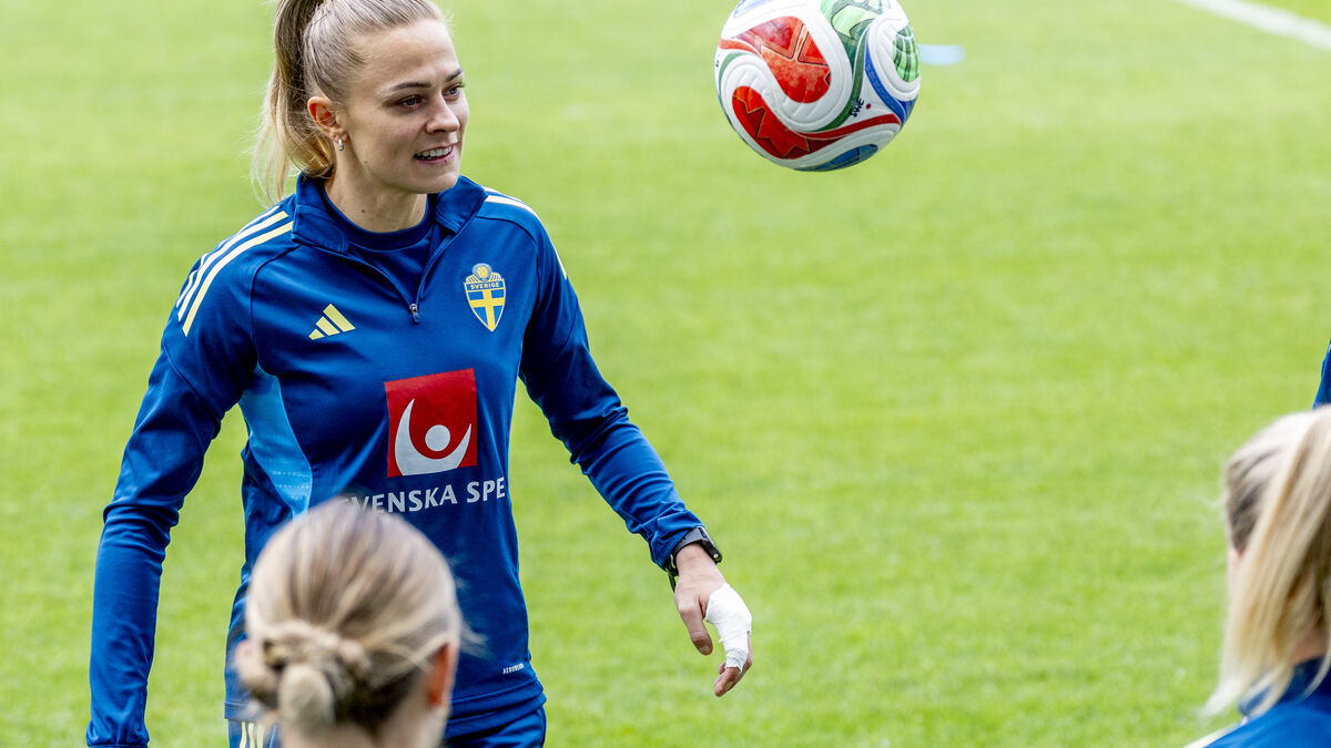 Guide: Last match in a tough World Cup qualifier - Sweden vs Italy