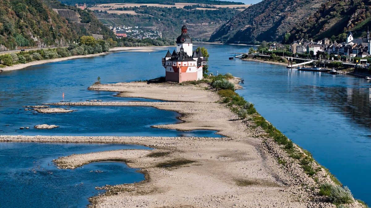 Water shortage could divide the Rhine in two, shipping group warns