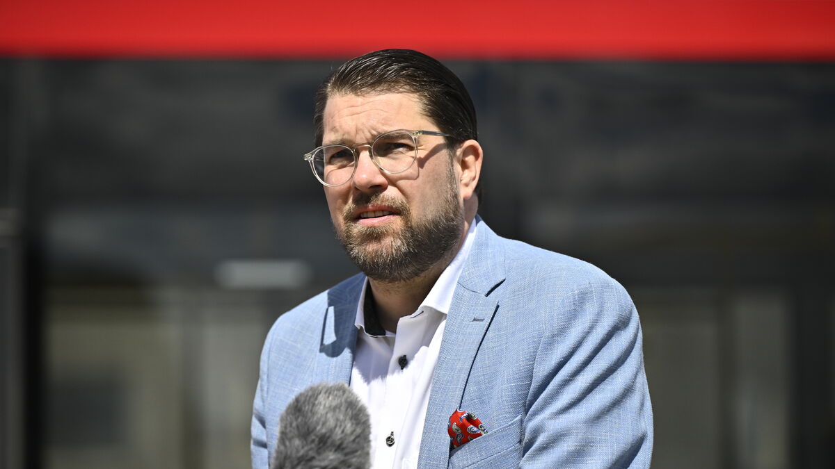 Åkesson on SD member suspected of child pornography: Very serious crime