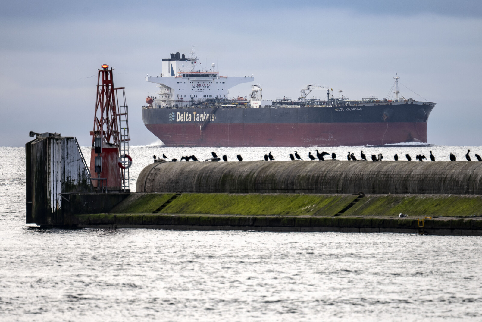 Swedish Shipping Growth Hindered by Maritime Personnel Shortage