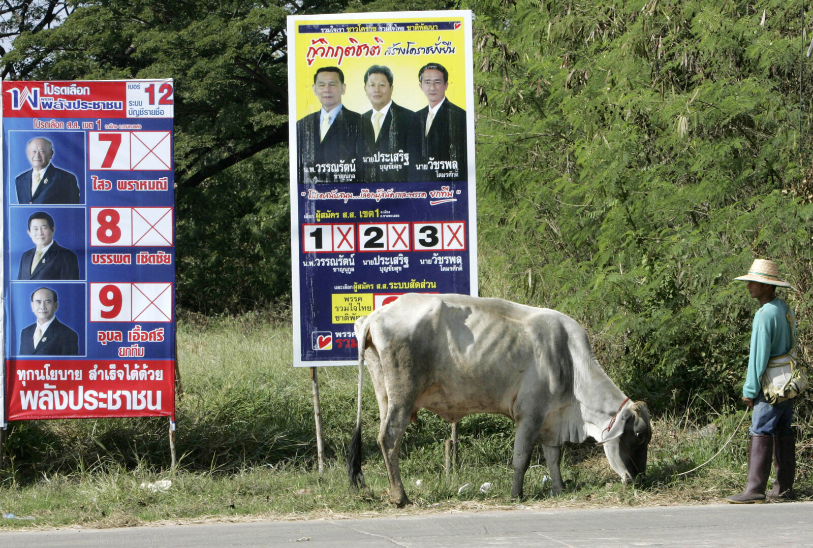 First Anthrax Death in Thailand