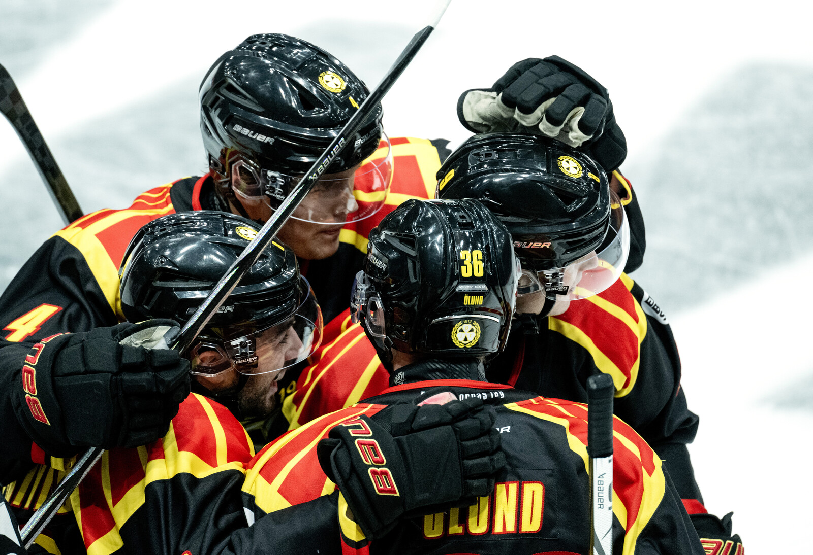 Brynäs won the top match – Trivigno with two goals
