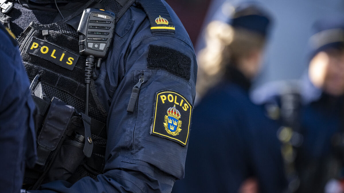 Swedish authorities criticized for ethnic discrimination
